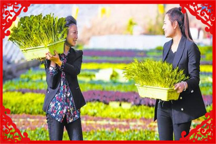 相关！农村办厂创业项目