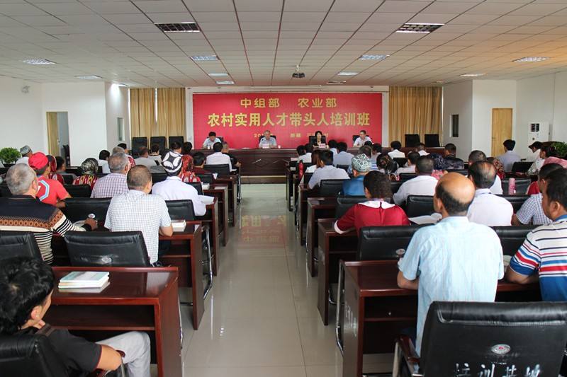 热点！农村如何创业