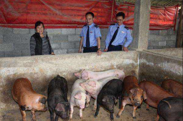 求答案！农村养殖创业致富网