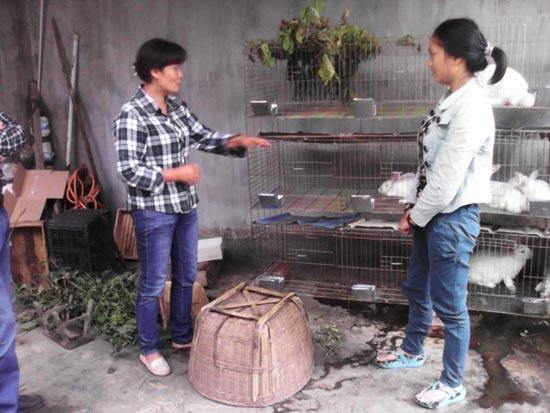 求答案！农村养殖创业致富网