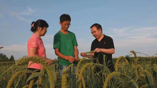 农民工返乡创业