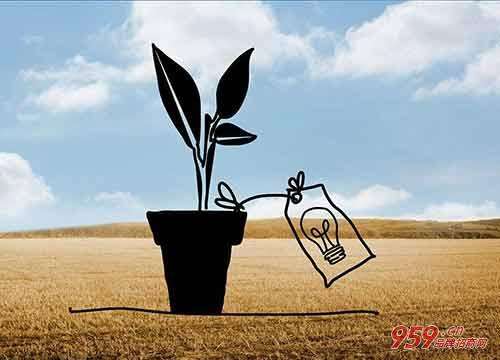 解释！农村创业项目在家开厂