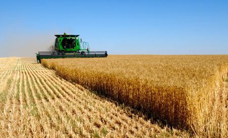 小知识！农村创业好项目