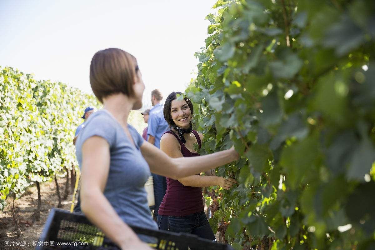 相关！农村小本创业