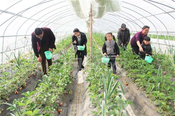 解释！农村创业好项目