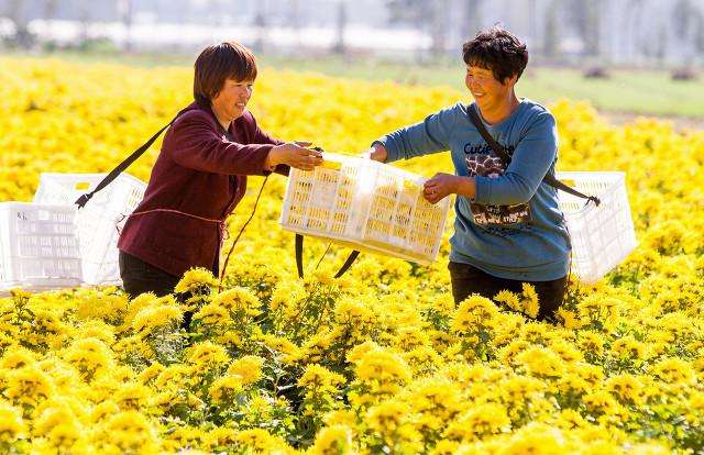 解释！农村创业好项目