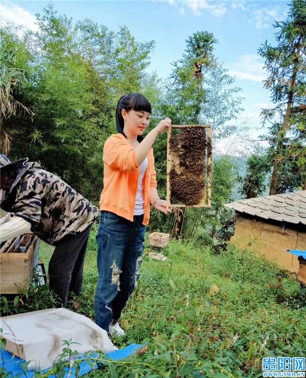 农村养殖创业致富网