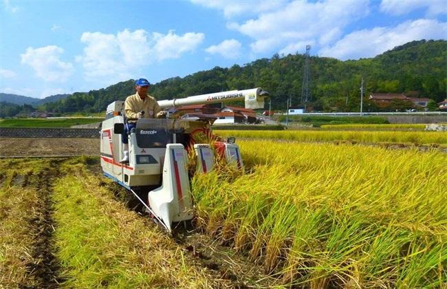 小知识！农村创业致富网