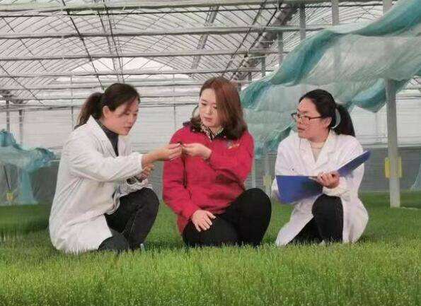 解说！农业创业故事