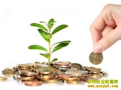 解答！好315创业网