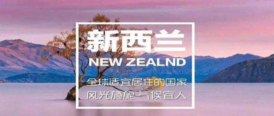 求答案！新西兰创业移民