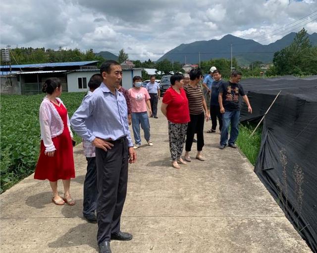 解说！创业致富网