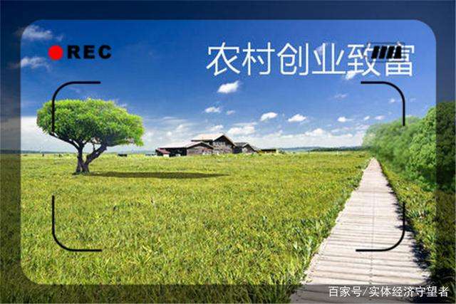 求答案！打工不如创业"专业解答"