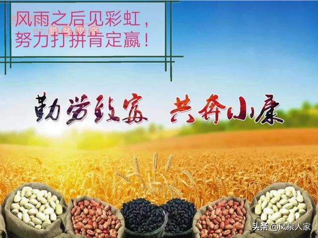 解答！农村创业项目在家开厂