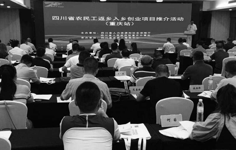 解释！农民工创业项目