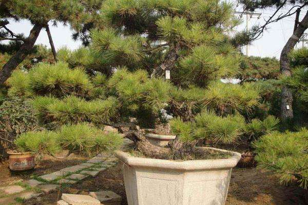 农民创业致富好项目