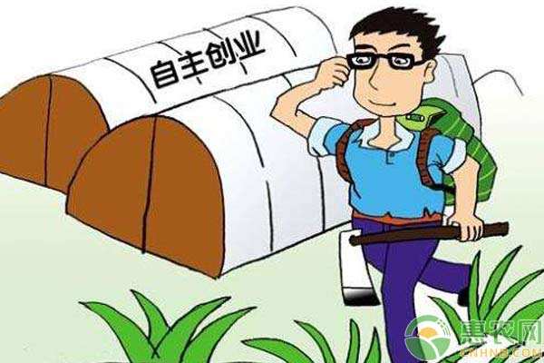 热点！怎么创业