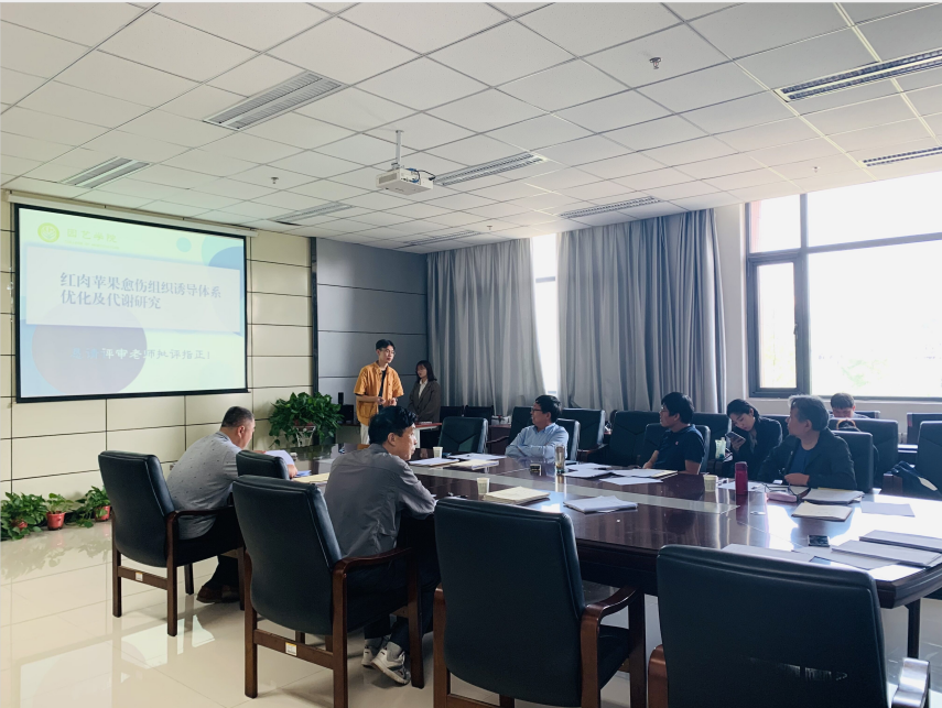 大学生创业项目