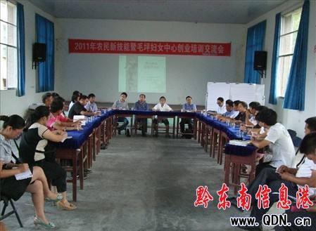 常见问题！县城创业项目