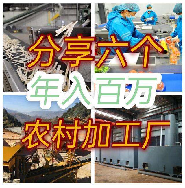 求答案！适合农村的创业项目