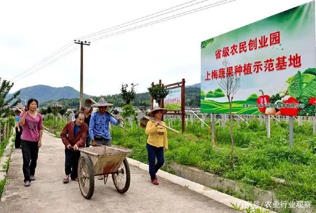 热点！适合农村创业的项目