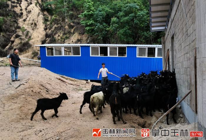 小知识！养殖创业网