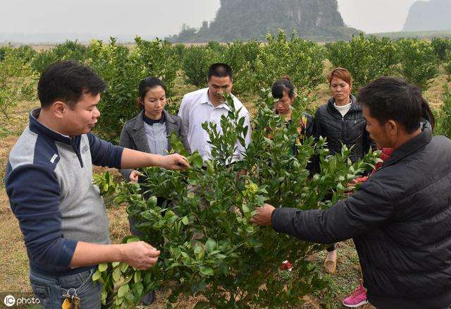 常见问题！适合农村创业的项目