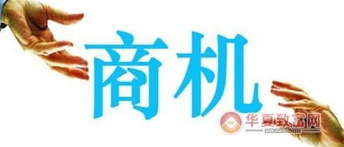 相关！中国创业商机网