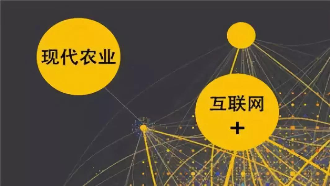 解释！农业创业项目