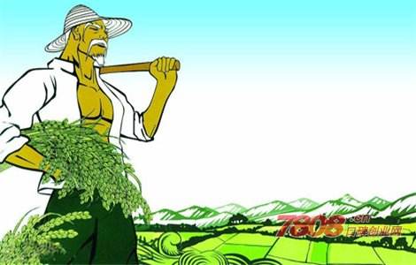 小知识！适合农村的创业项目