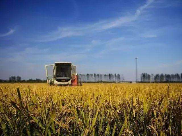 小知识！适合农村的创业项目