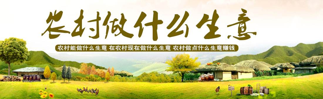 热点！5000元创业项目