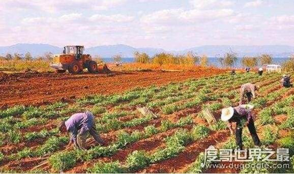 常见问题！农村创业致富网