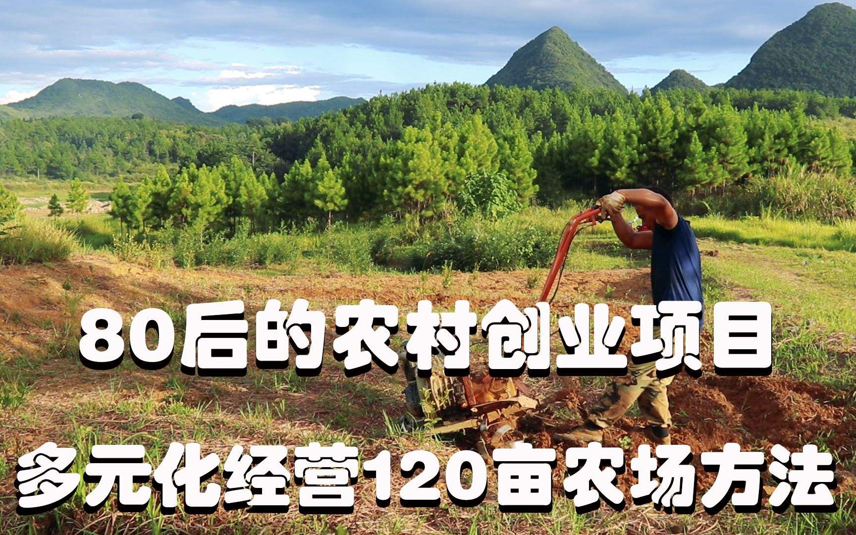 解说！适合80后创业的项目