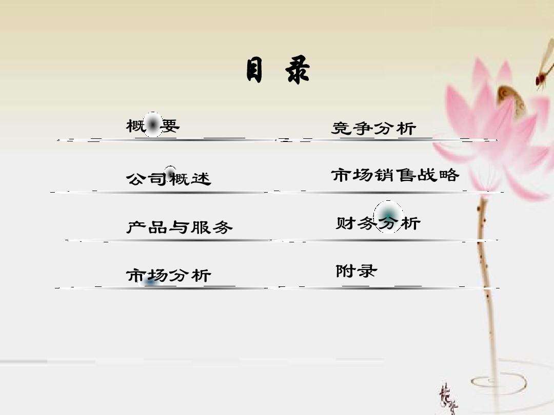 解释！个人创业计划书