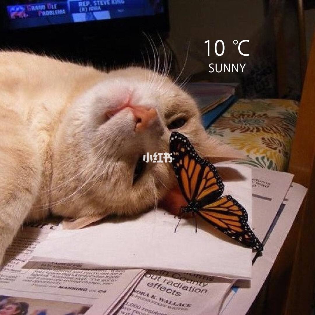 内蒙古大学创业学院