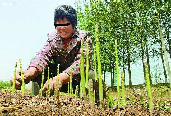 解说！农民创业致富好项目