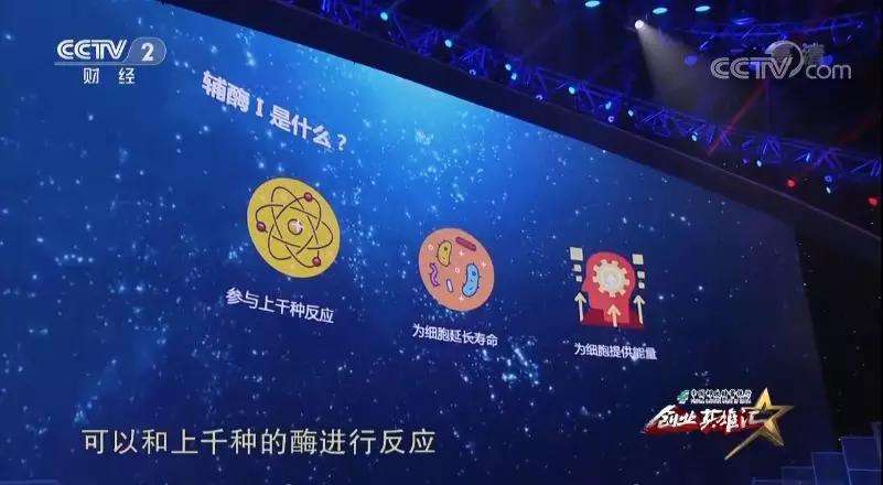 解释！cctv2创业