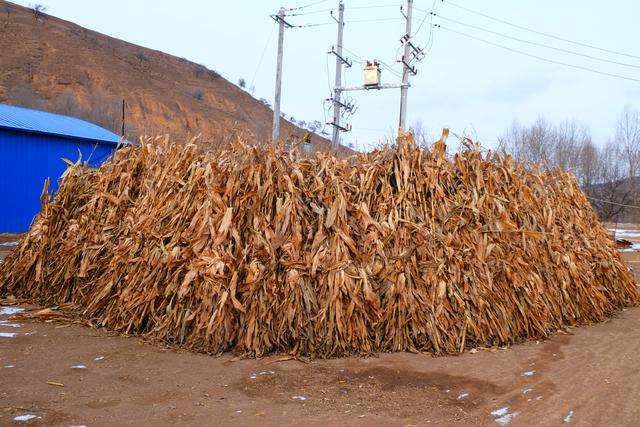 解说！农村创业项目在家开厂