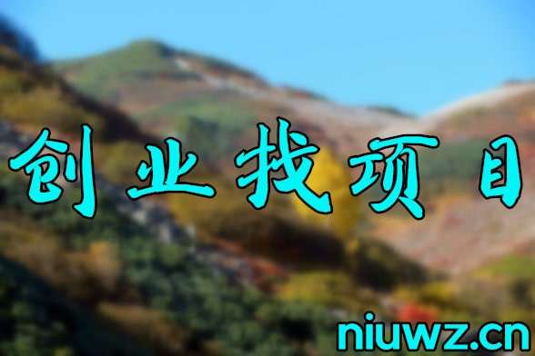 解释！如何创业找项目"专业解答"