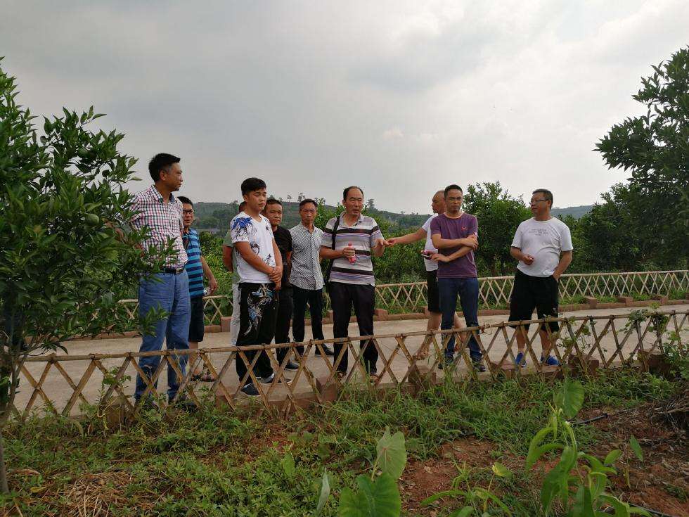 解答！农村创业项目