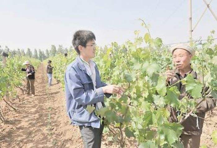 解释！农民创业致富好项目