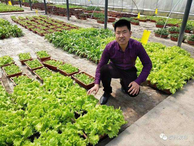 热点！农业创业故事