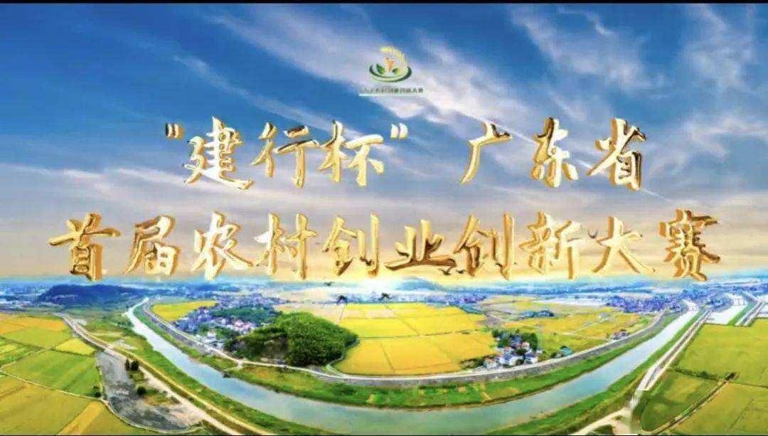 求答案！农村创业成功案例"在线解答"