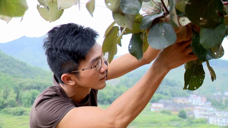 热点！农村创业致富网"专业解答"