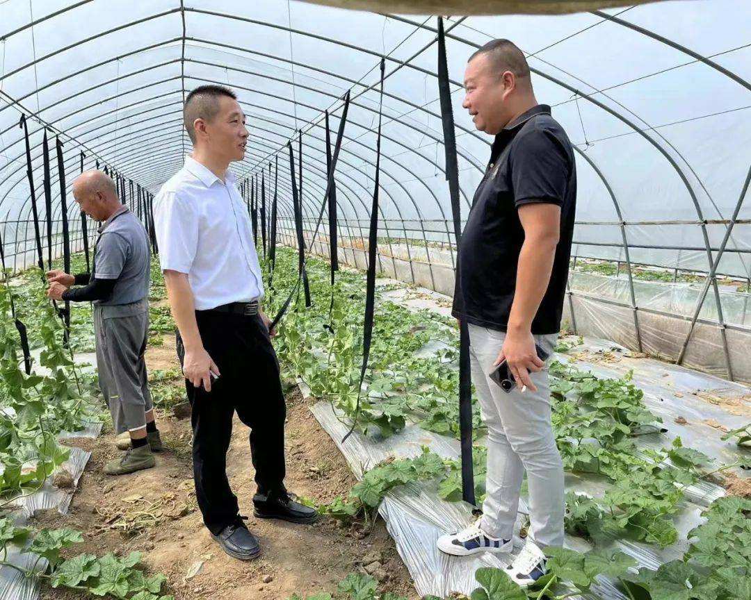 热点！农村创业致富网