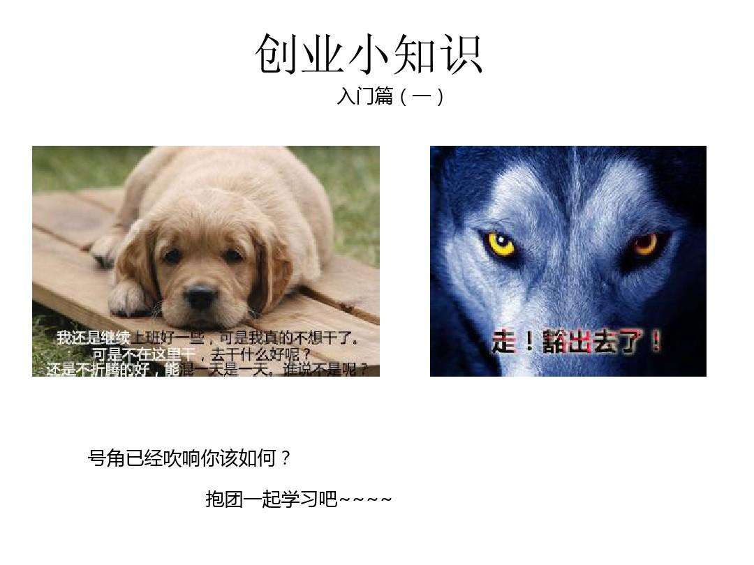 小知识！淘宝创业故事