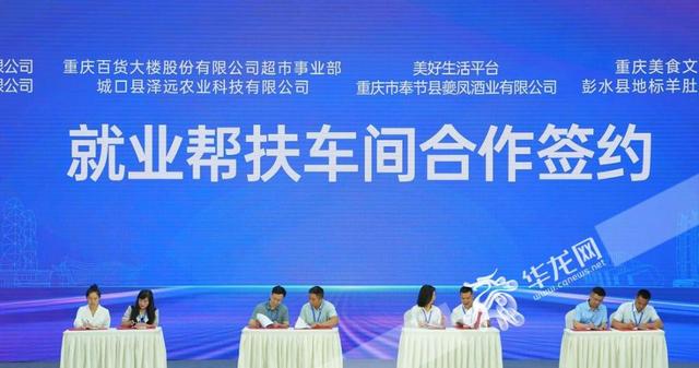 创业活动"在线解答"