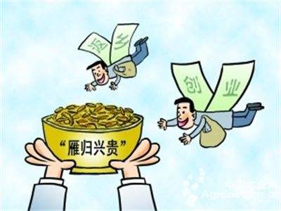 解释！农民如何创业"在线解答"