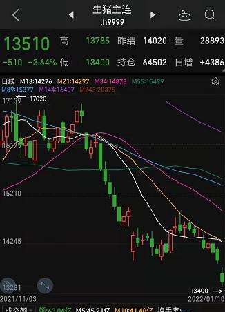 俞敏洪创业演讲